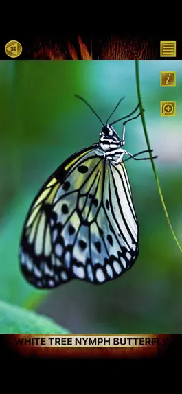 Game screenshot Animals 360 - Insecta Gold apk