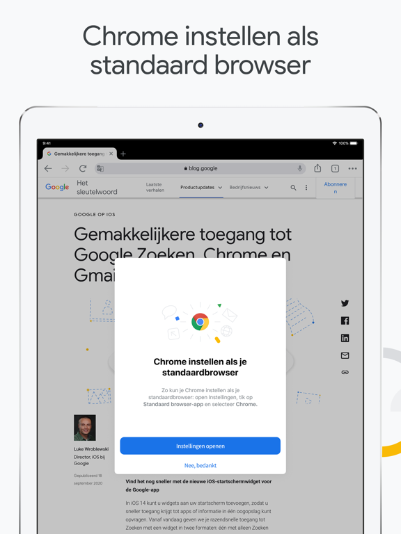 Google Chrome iPad app afbeelding 2