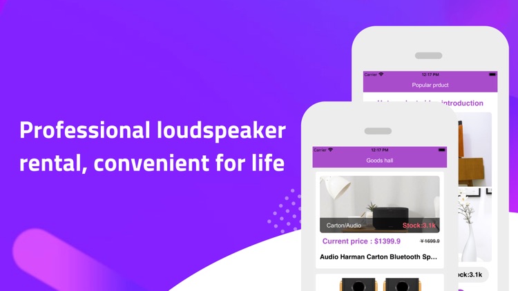 Loudspeaker Borrow