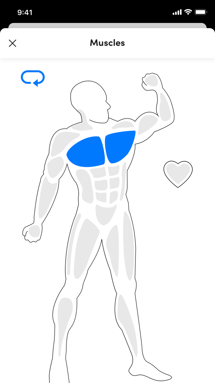 HYBRID PERFORMANCE ACADEMY