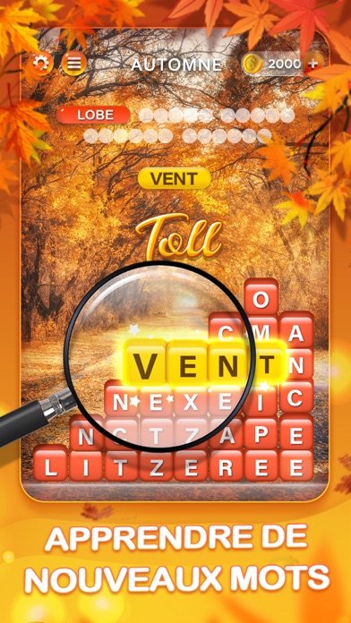 Mots Malins - Jeu de mots pro Mots Malins - Jeu de mots pro