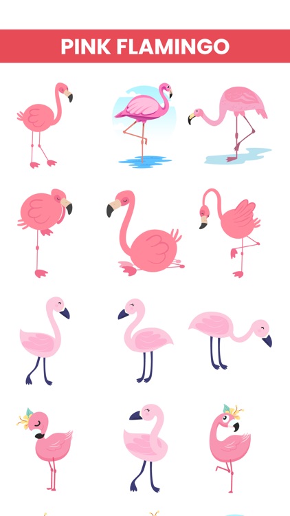 Pink Flamingo Stickers!