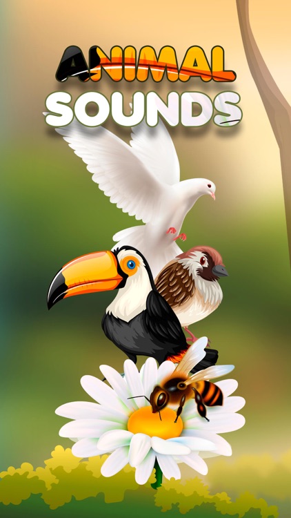 Animal Sounds – Guessing Game