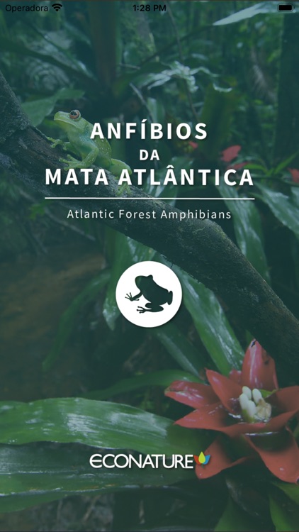 Anfíbios da Mata Atlântica