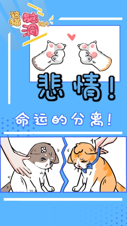 这猫脑洞贼大