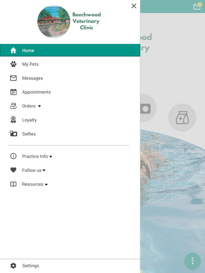 Beechwood Vet Clinic