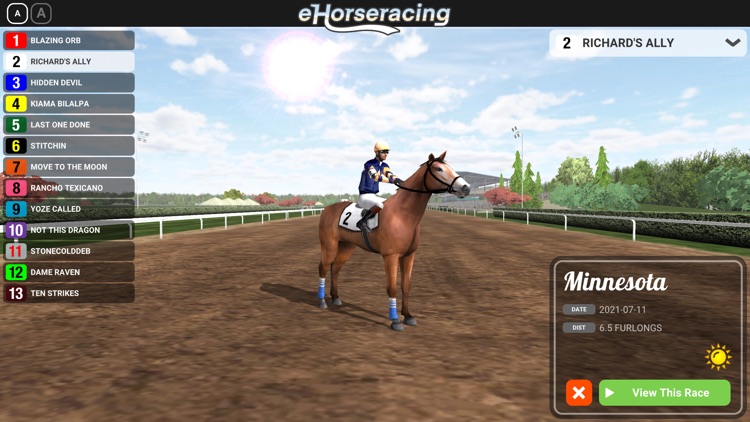 eHorseracing.com Race Viewer