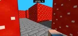 Game screenshot Multicraft Maze 3D hack