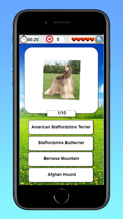 Cats & Dogs Quiz-Guess Breeds screenshot-6