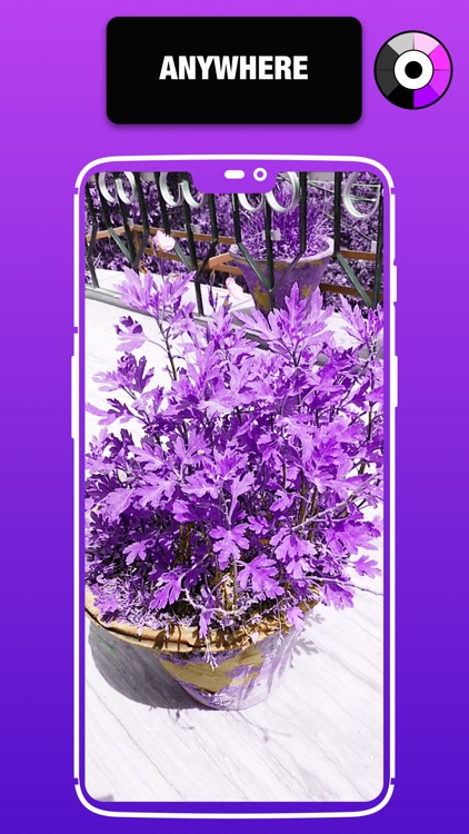 Color Changing Camera screenshot-5