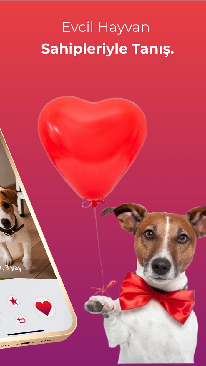 Pet Mate Date  Meet for Pets