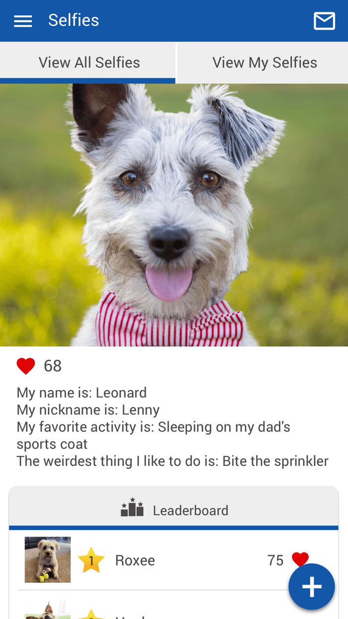 Stover Veterinary Services