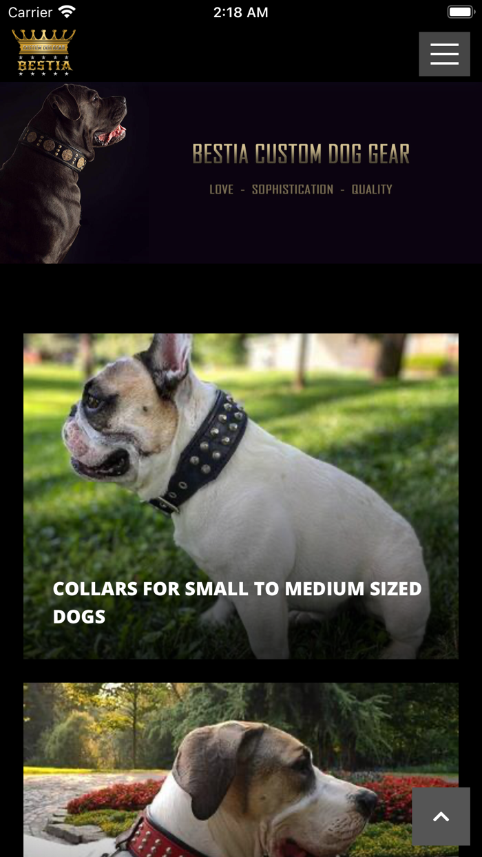 Bestia Custom Dog Gear