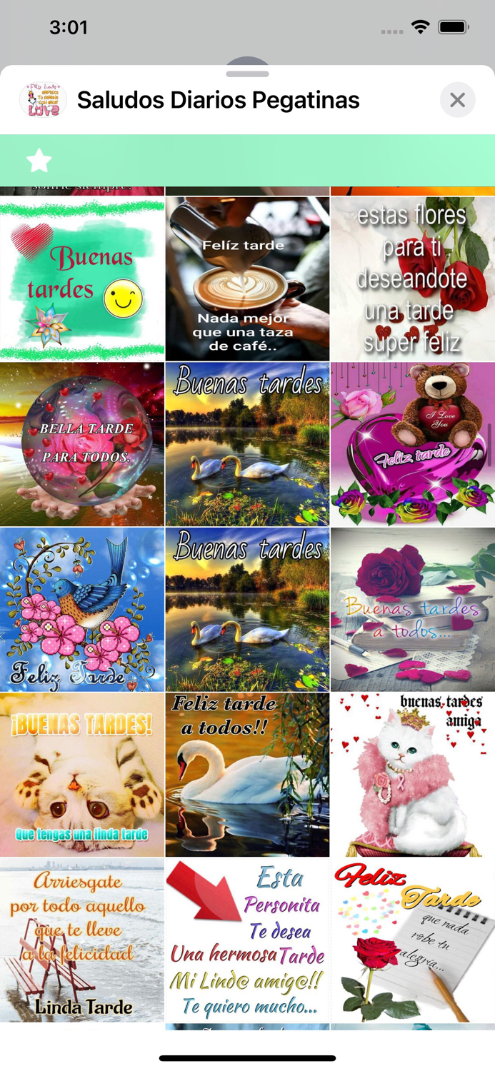 Saludos Diarios Pegatinas