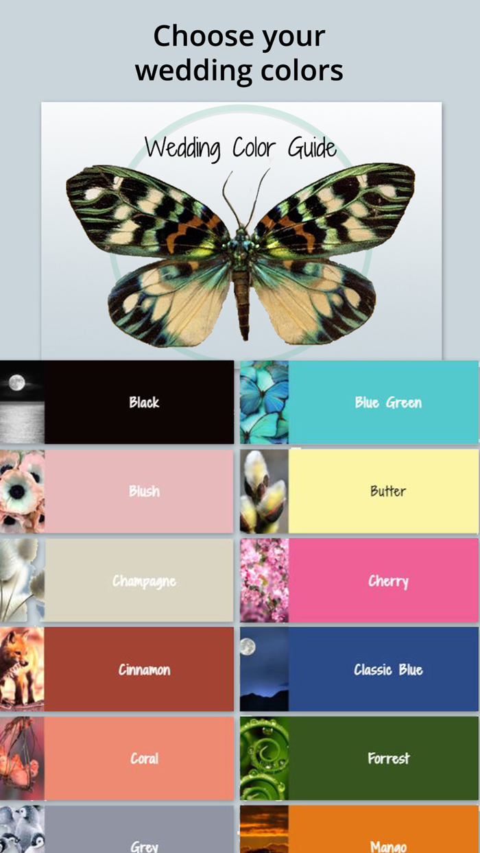 Wedding Designer by Yes Love