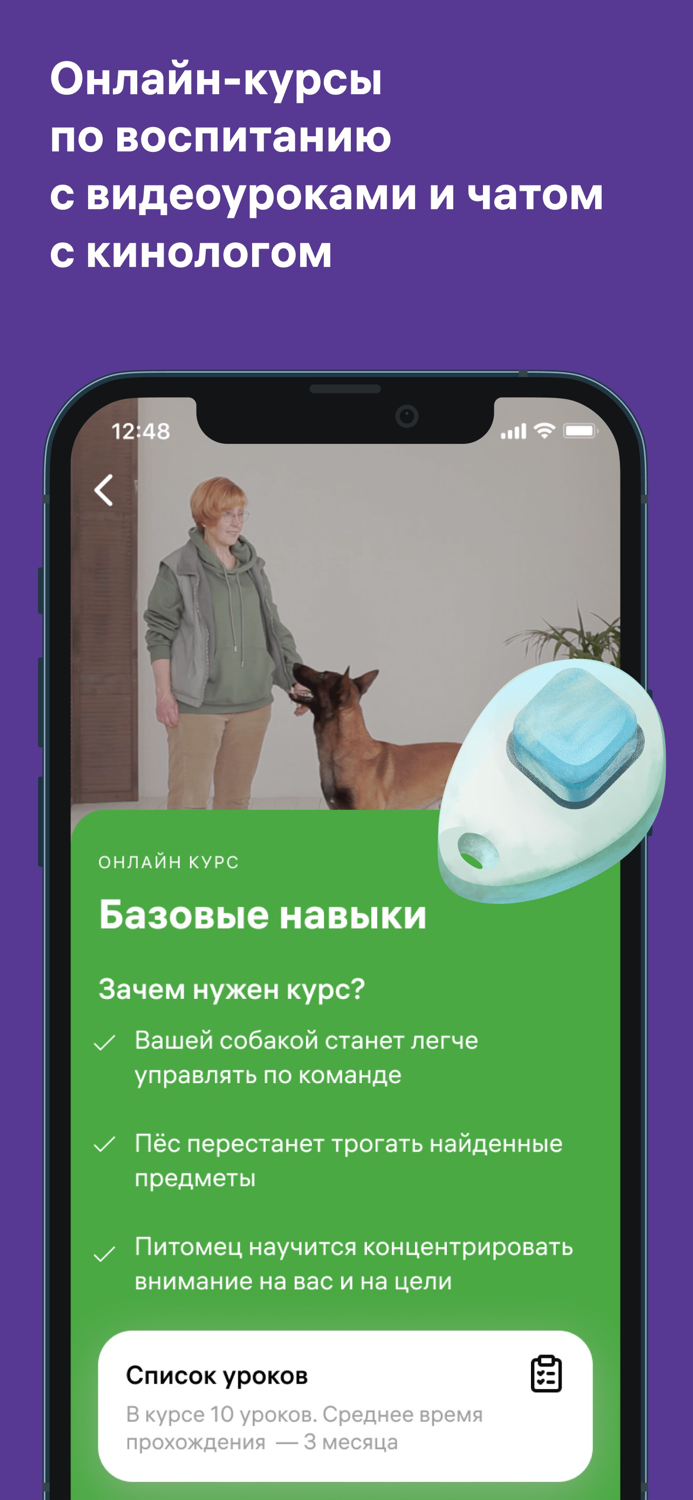 Petset дрессировка, ветеринар