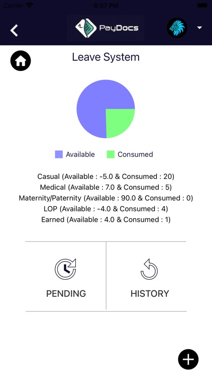 PayDocs screenshot-4