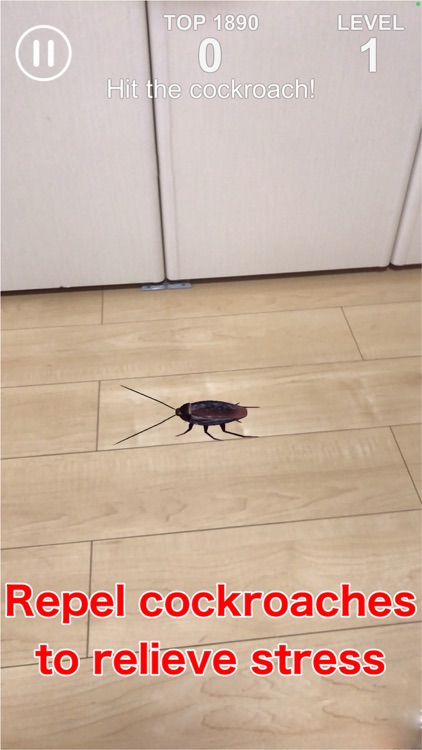 AR Cockroach on the run