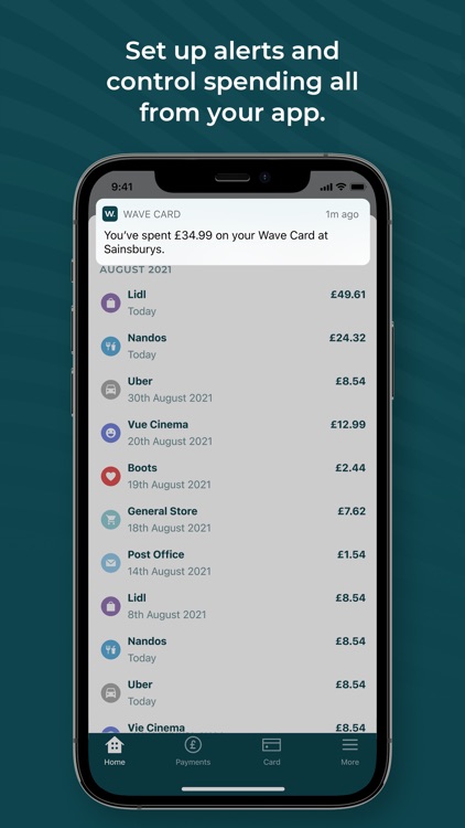 Wave - credit card screenshot-4