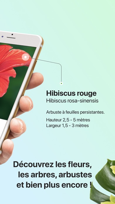 PictureThis-Identifier Plantes PictureThis-Identifier Plantes