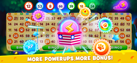 Tips and Tricks for Bingo Wild Live BINGO Games