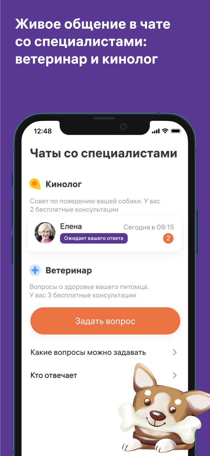 Petset дрессировка, ветеринар