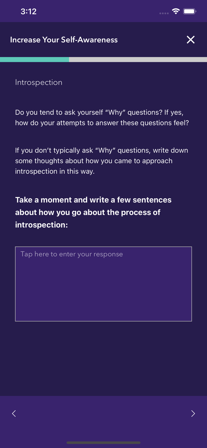 Verb Leadership Development