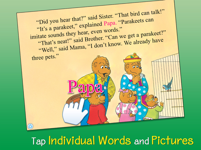 Berenstain Really Big Pet Show