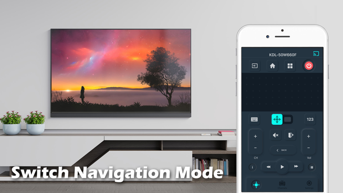 Remote for L TV Plus