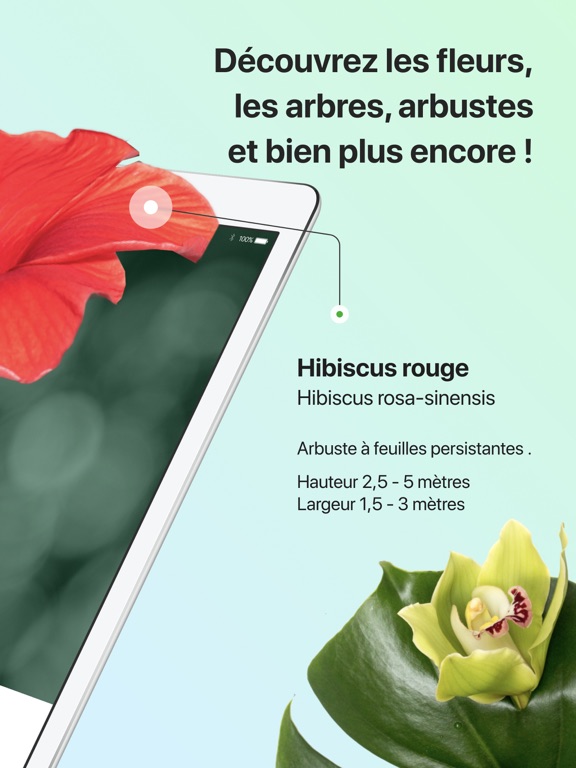 PictureThis-Identifier Plantes PictureThis-Identifier Plantes