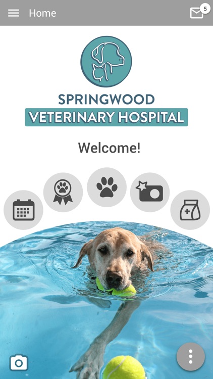 Springwood Vet Hospital