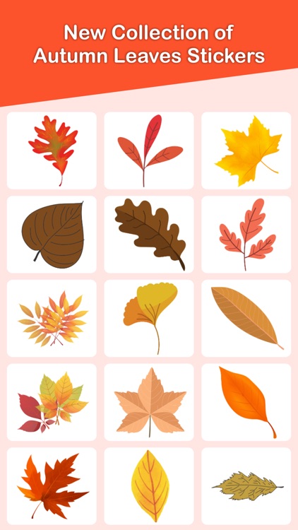 Autumn Leaves Emojis