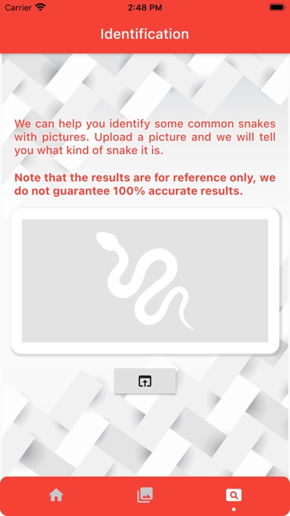 Snake identification screenshot-3