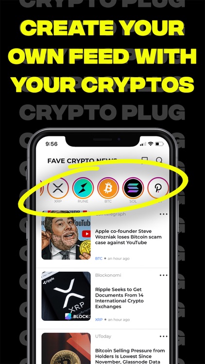 Crypto Plug