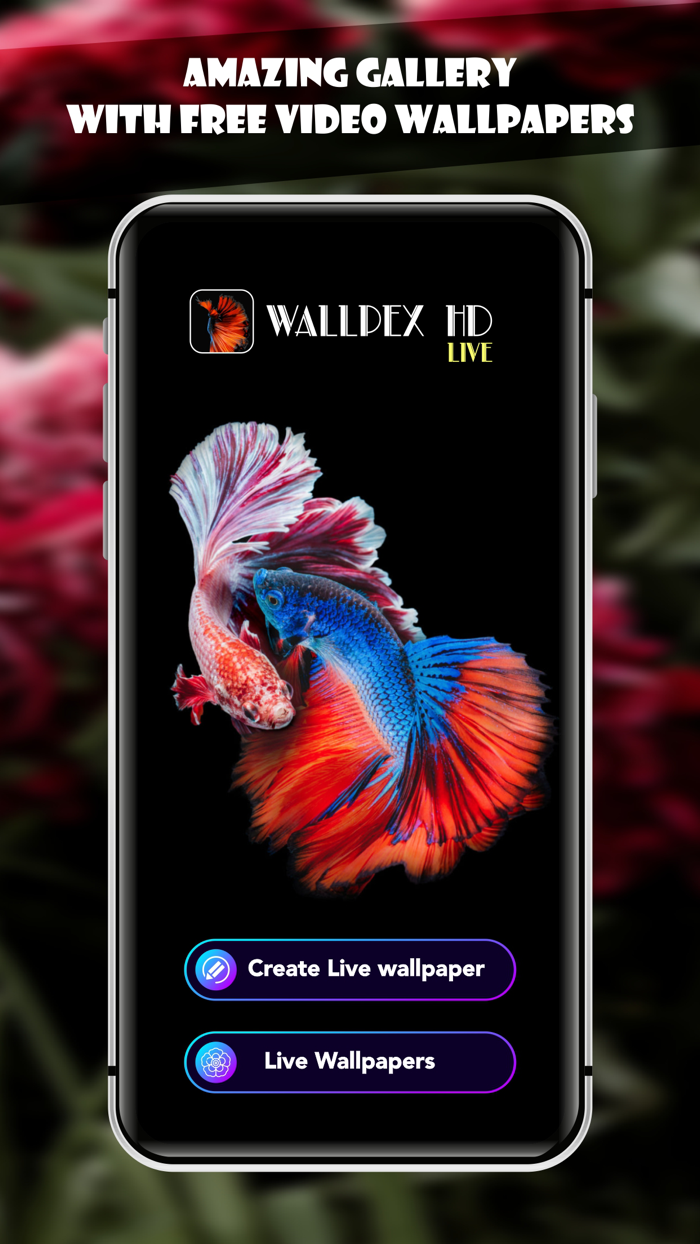Wallpex HD LIVE