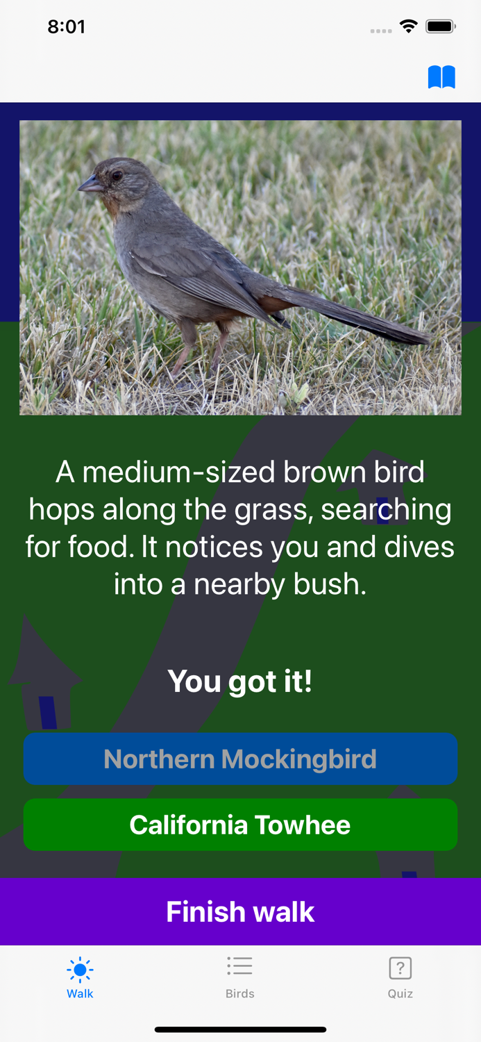 Bay Area Bird Experience