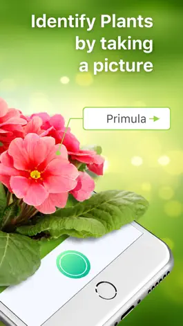 Game screenshot Leafsnap plant identification apk