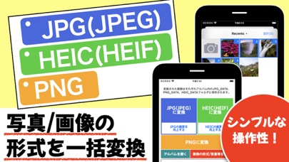 JPG,HEIC,PNGに一括変換