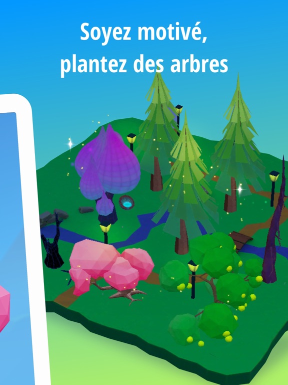 Forest Grow - Concentration Forest Grow - Concentration