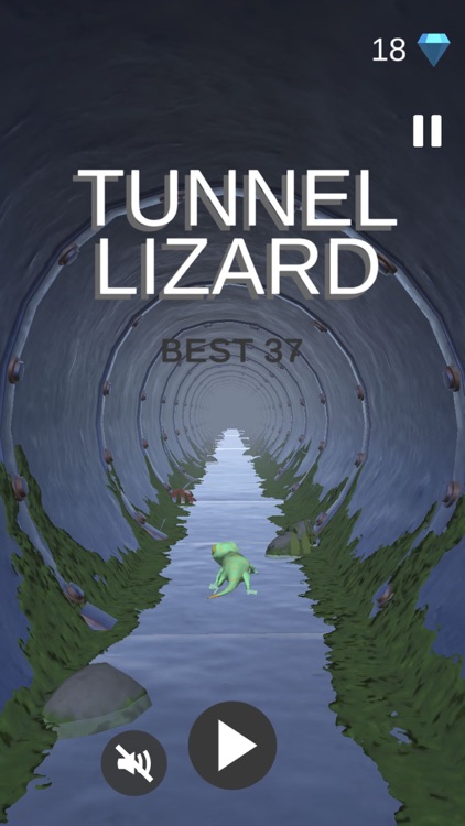 Tunnel Lizard