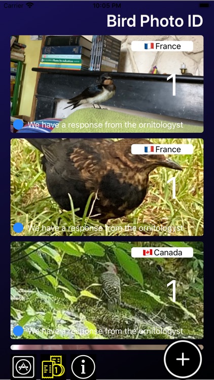 Bird ID - Bird Identification