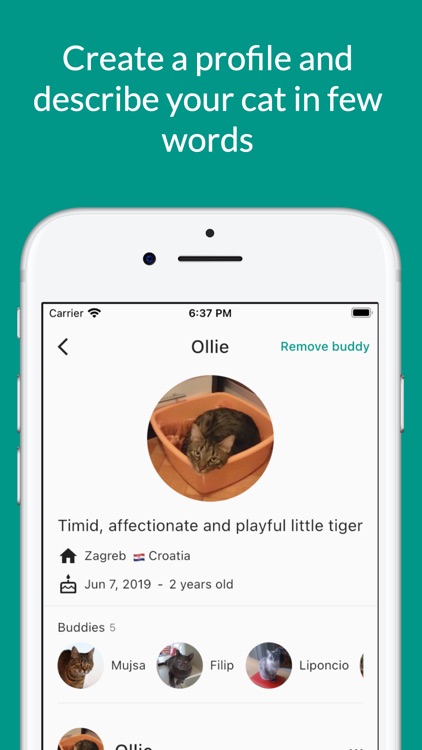 MeowMe - Cat Social Network