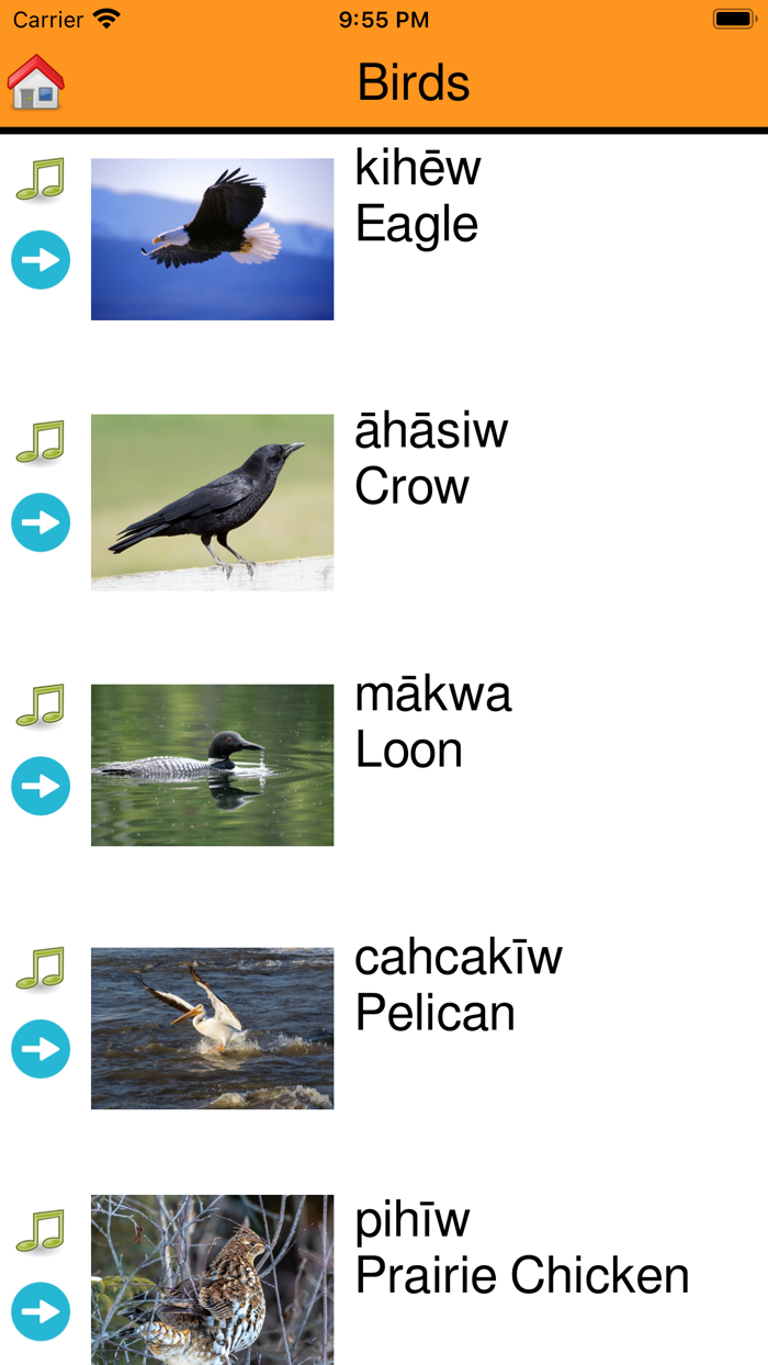 FDFN Cree Language App