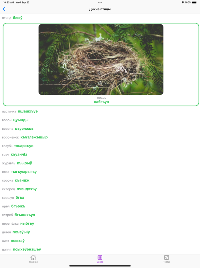 Словарик по темиргоевскому