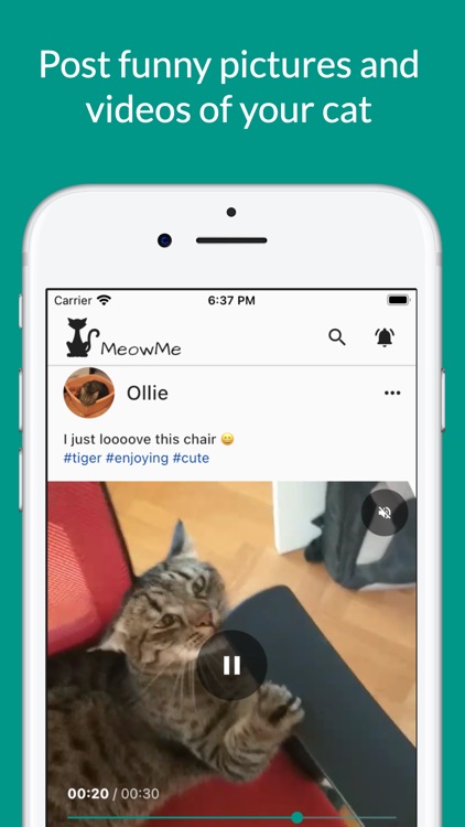 MeowMe - Cat Social Network