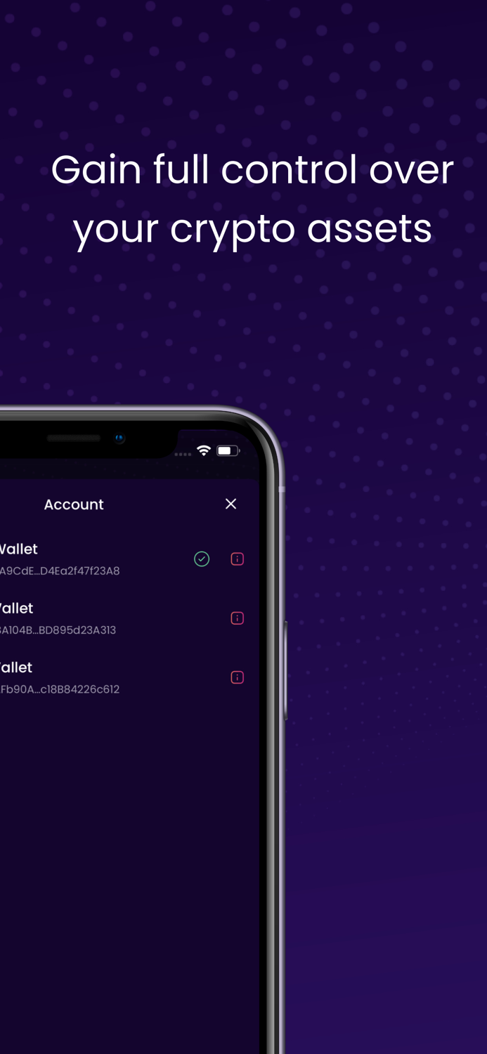 iSwap Crypto  DeFi Wallet