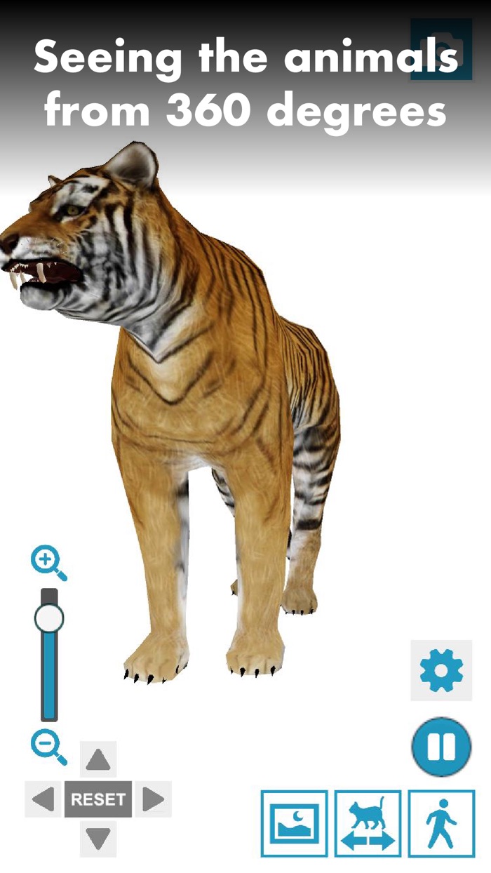 Коллекция поз животных