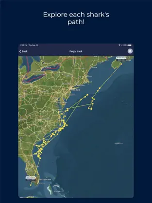 Imágen 2 OCEARCH Shark Tracker iphone