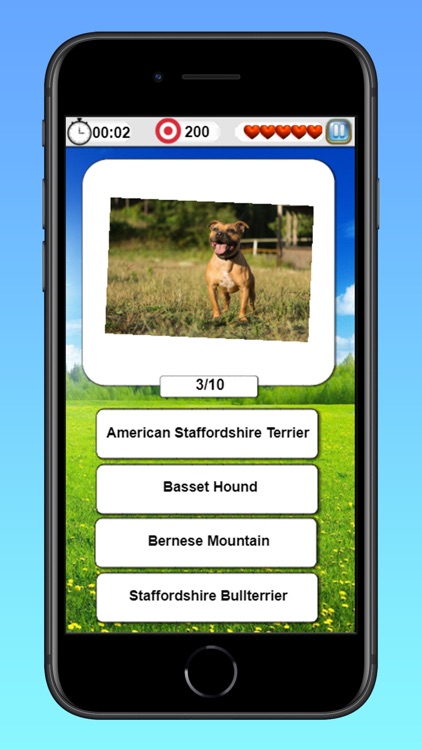 Cats & Dogs Quiz-Guess Breeds screenshot-5