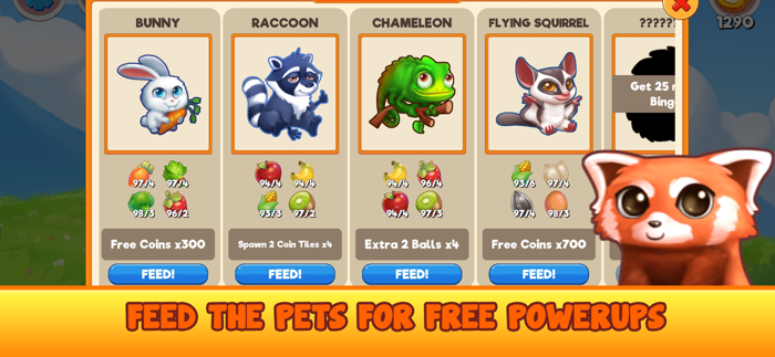 Bingo Pet Rescue
